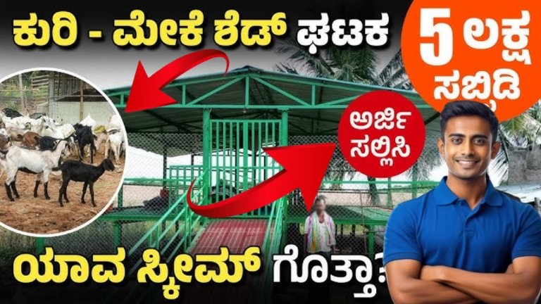 Sheep Shed Subsidy: ಕುರಿ ಶೆಡ್ ನಿರ್ಮಿಸಲು ₹75,000 ಸಹಾಯಧನ! ಇಂದೇ ಅರ್ಜಿ ಸಲ್ಲಿಸಿ.!!