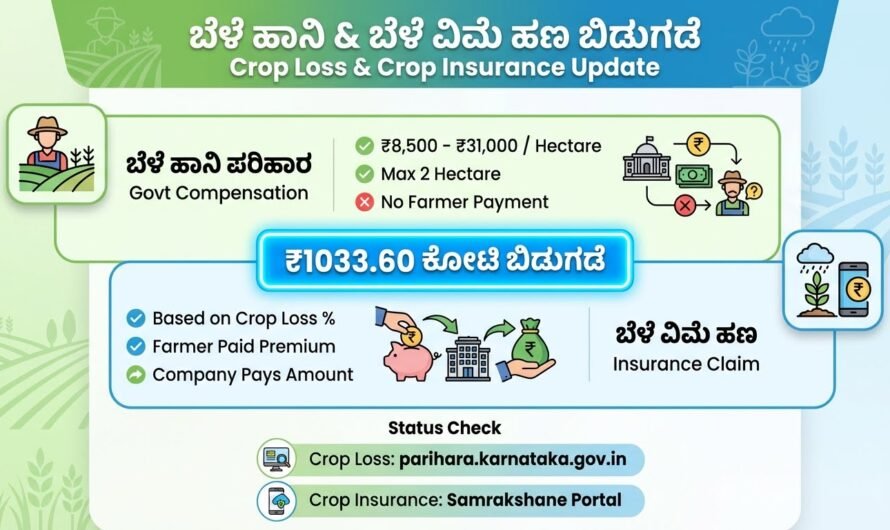 Bele Pariahara List | ಬೆಳೆ ಹಾನಿ ಹಾಗೂ ಬೆಳೆ ವಿಮೆ ಹಣ ಬಿಡುಗಡೆ: ಯಾರಿಗೆ ಎಷ್ಟು ಜಮೆ? ಇಲ್ಲಿ ಚೆಕ್ ಮಾಡಿ